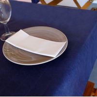 Mantel Cortado 100x100 Newtex Azul, Caja 150 Uds. | Servicio de mesa | Tela sin Tejer | Lavable |